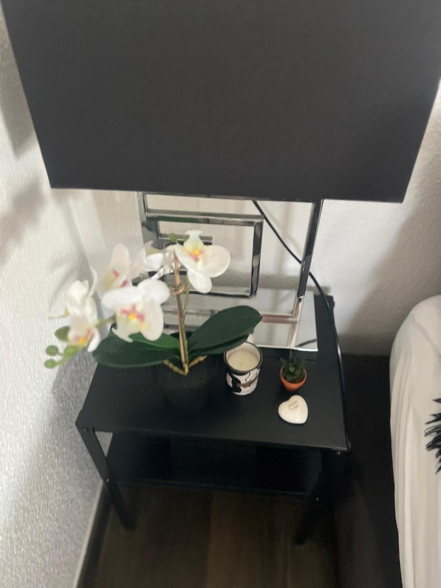 Studio Apartment Zürich